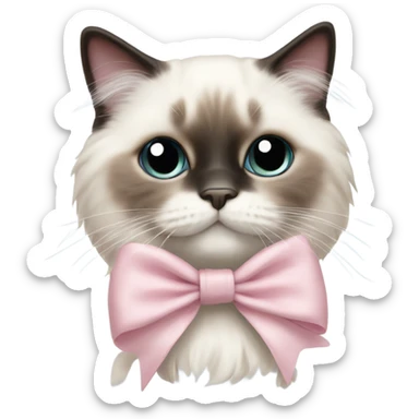 Cute Realistic ragdoll cat with pale pink bow sticker