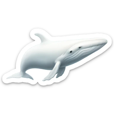 white whale , underside sticker