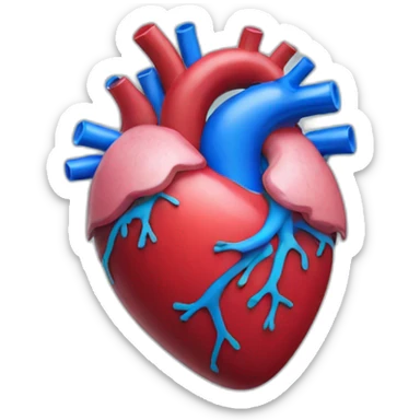 Human Heart sticker