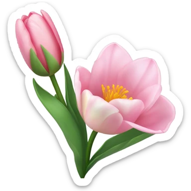 Tulipanes rosas sticker