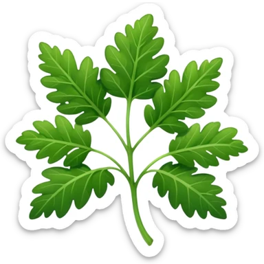 Cilantro  sticker
