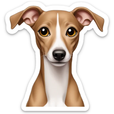 italian greyhound brown sticker