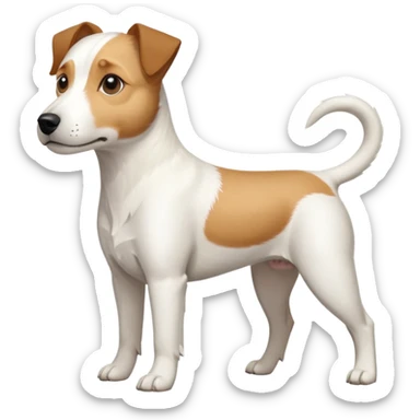 a full body slightly chubby white parson russell terrier looking dog the size of a kelpie with light brown long ears and a light brown patch on one eye and a large snout. the rest of the dog is completely whiteforward facing sticker