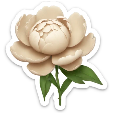 Peonie beige sticker