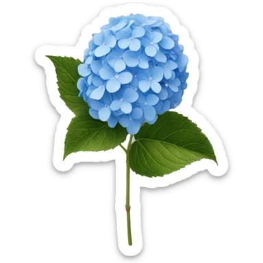 hydrangea blue sticker