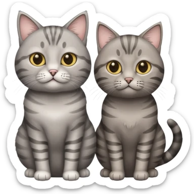 one fat grey tabby cat and one thin grey tabby kitten one thin sticker