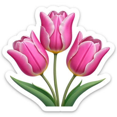 Pink tulips sticker