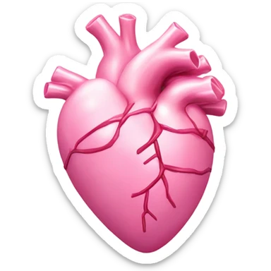 Pink anatomical heart pastel pink with pink bow on top sticker