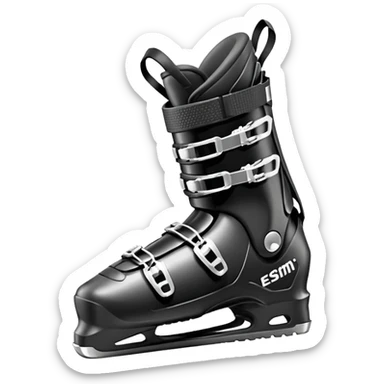 chaussure ski sticker