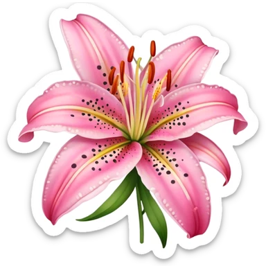 Tiger lily flower pink sticker