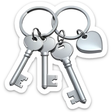a set of keys on a keyring sticker