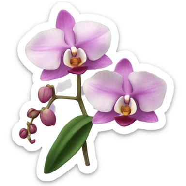 orchids sticker
