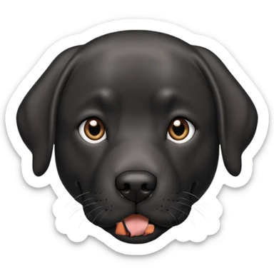 Black adult Labrador with grey on face sticker