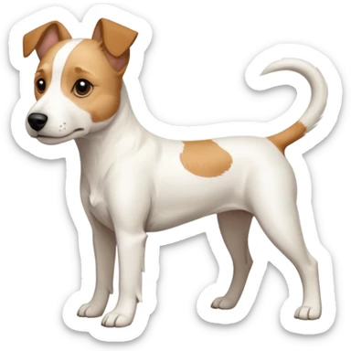 a full body facing front on of a buff white parson russell terrier looking dog the size of a kelpie with light brown long ears resting on its face and a light brown patch above one eye and a large snout. the rest of the dog is completely white.  sticker