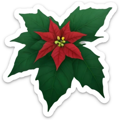 Dying poinsettia plant turning black sticker