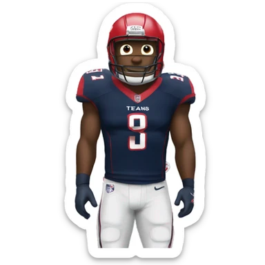HOUSTON TEXANS sticker