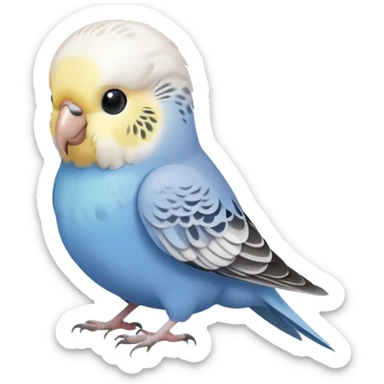 budgie, light grey feathers with a white head sticker