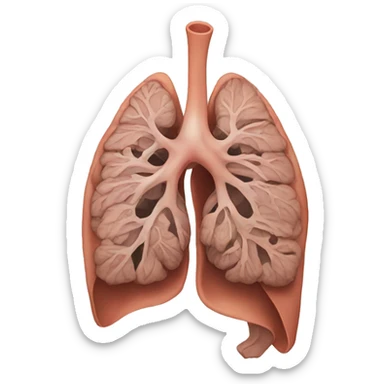 Anatomical Lung  sticker