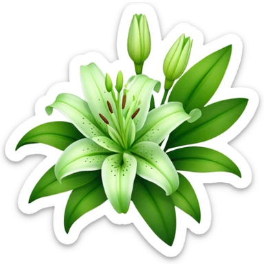 bouquet Soft Green Lily, luxuriant, leaf, bud sticker