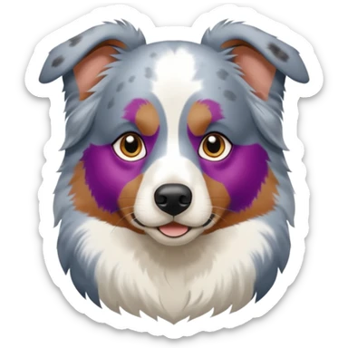 Blue merle Australian Shepherd ￼ sticker