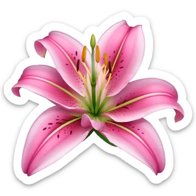 Pink lily  sticker