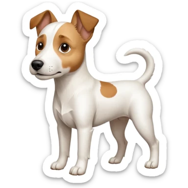 a full body large white parson russell terrier looking dog the size of a kelpie with light brown big ears and a light brown patch on one eye and a large snout sticker
