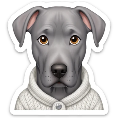  Realistic Grey Great Dane wearing a white knit sweater  sticker