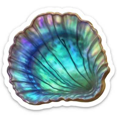 Abalone shell 🐚  sticker