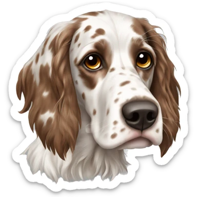 brown and white english setter sticker