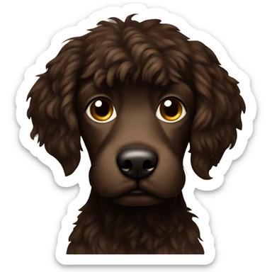 Dark brown doodle missing a front let sticker