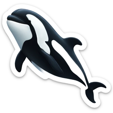 Killer Whale wearing a beanie sticker
