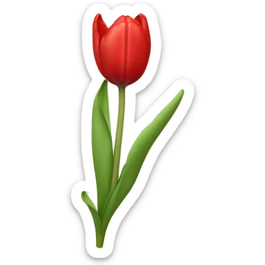Red tulip sticker