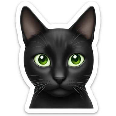 Black and white cat light green eyes  sticker