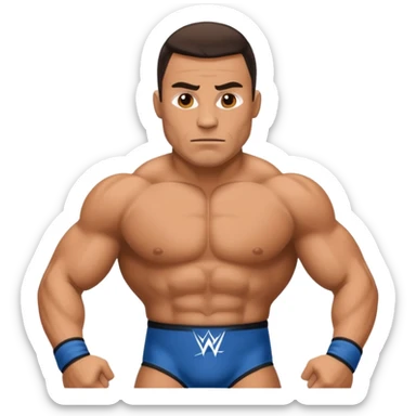 wwe wrestler  sticker