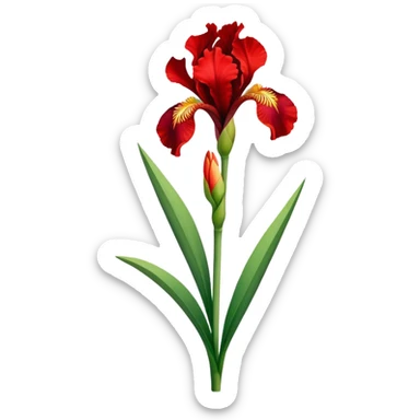 single Bright Red Iris, straight stem sticker