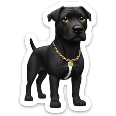 Un staffi femelle noir avec un petit trait blanc sur la tête avec des tache de brunger sur c'est patte arrière avec un collier ver se nomment ugette sticker