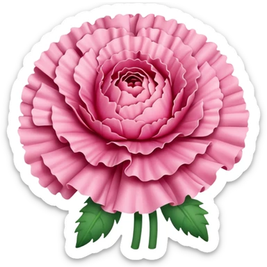 Carnation sticker
