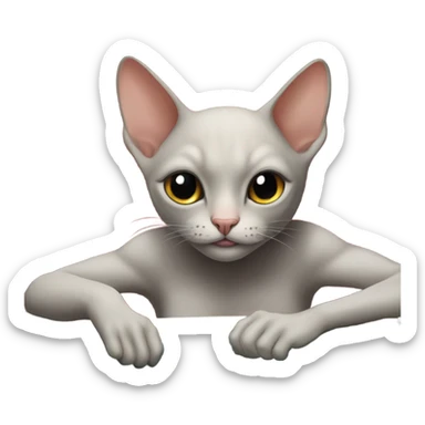 Hairless cat gambling sticker