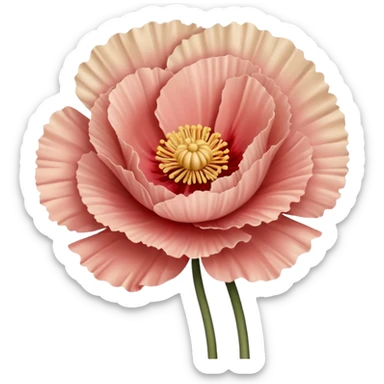 Carnation poppy beige light rose sticker