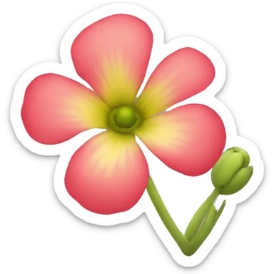 Yemen Flower sticker
