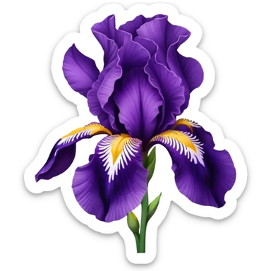 💜 rengini aç sticker