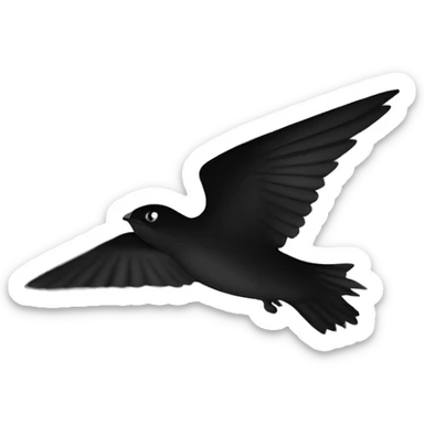 common swift shadow, black and white. sticker