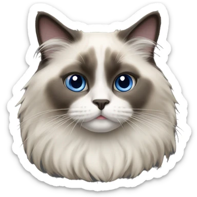 Ragdoll cat dark face sticker