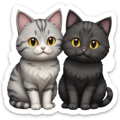 You can make an emoji of two cats looking at each other, one black and the other gray. sticker