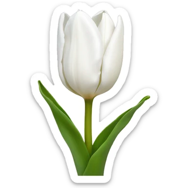 white tulip sticker