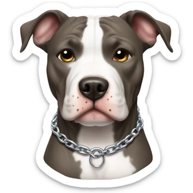 American pitbull terrier with a brindle coat and white down middle of his face and chest. He has a silver chain link collar sticker