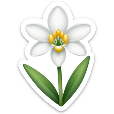 snowdrop flower with sun sticker