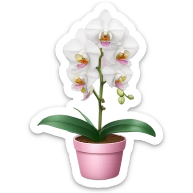 White Orchid in a pink pot sticker