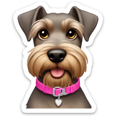 Light brown schnauzer dog with pink collar  sticker