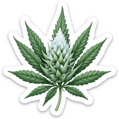 white color marijuana sticker